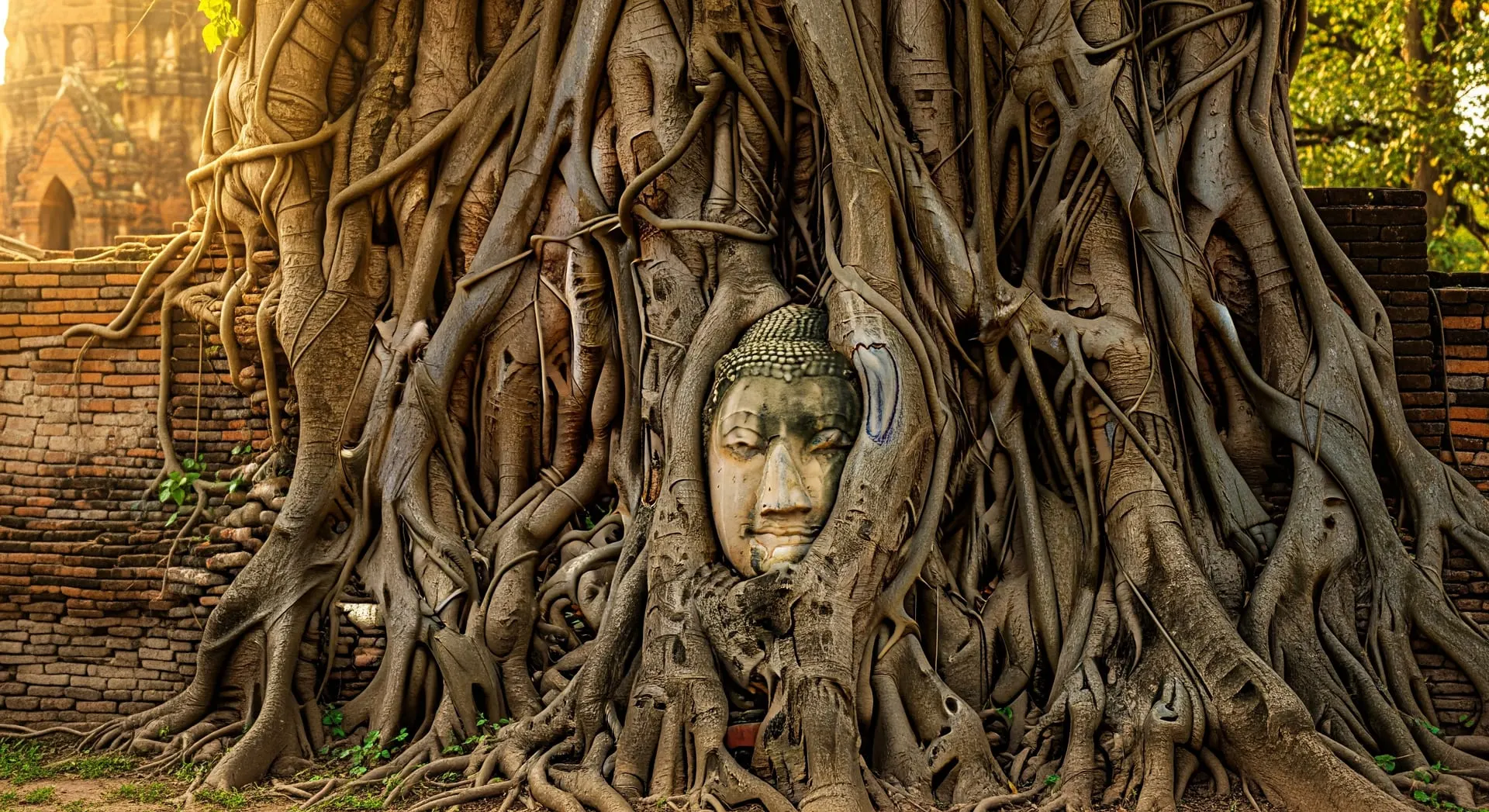 Living in Thailand on the 5-year DTV — for Cambodian citizens
