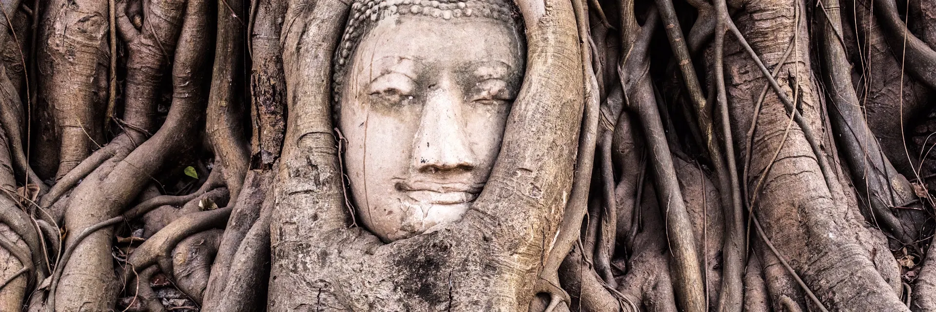 The famous Buddha head in tree roots at Ayutthaya